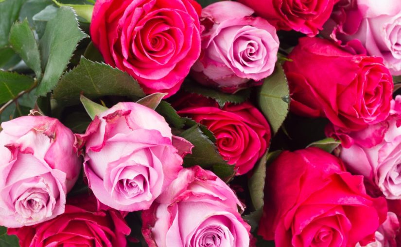 Find den perfekte gave til Valentinsdag online hos Bloomit